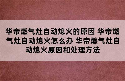 华帝燃气灶自动熄火的原因 华帝燃气灶自动熄火怎么办 华帝燃气灶自动熄火原因和处理方法